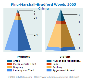 Pine-Marshall-Bradford Woods Crime 2005