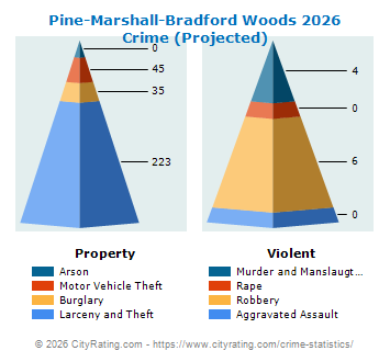 Pine-Marshall-Bradford Woods Crime 2026