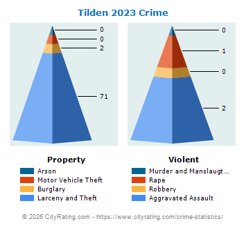 Tilden Township Crime 2023