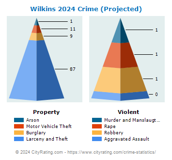 Wilkins Township Crime 2024