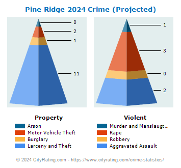 Pine Ridge Crime 2024