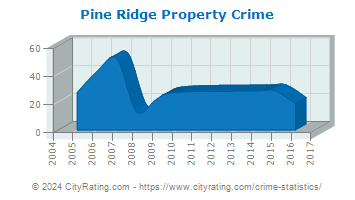 Pine Ridge Property Crime