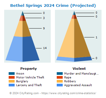 Bethel Springs Crime 2024