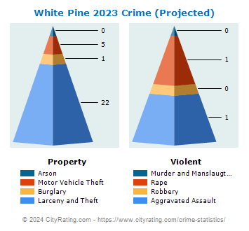 White Pine Crime 2023