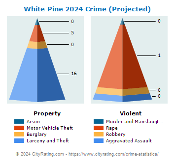 White Pine Crime 2024