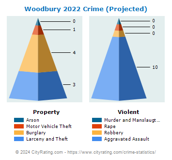Woodbury Crime 2022