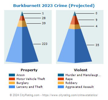 Burkburnett Crime 2023