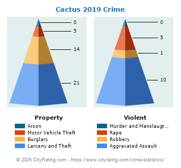 Cactus Crime 2019