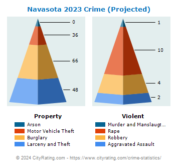 Navasota Crime 2023