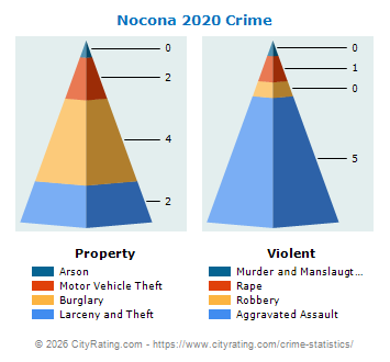 Nocona Crime 2020