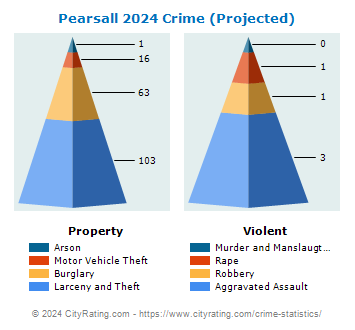 Pearsall Crime 2024
