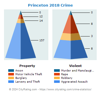Princeton Crime 2018