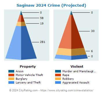 Saginaw Crime 2024