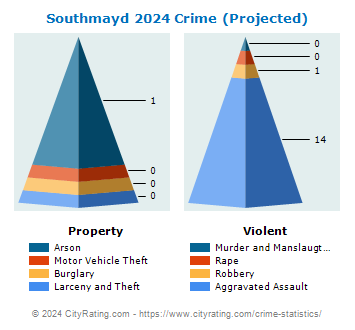 Southmayd Crime 2024