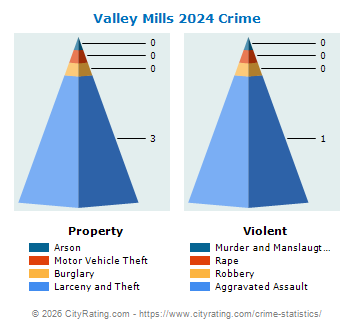 Valley Mills Crime 2024