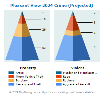 Pleasant View Crime 2024