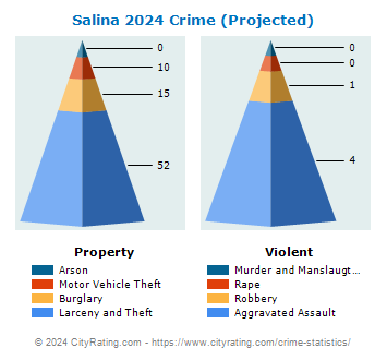 Salina Crime 2024