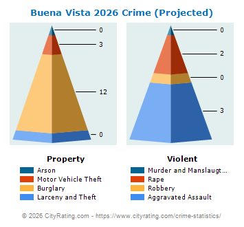 Buena Vista Crime 2026