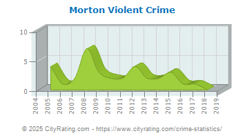 Morton Violent Crime