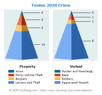 Tenino Crime 2020