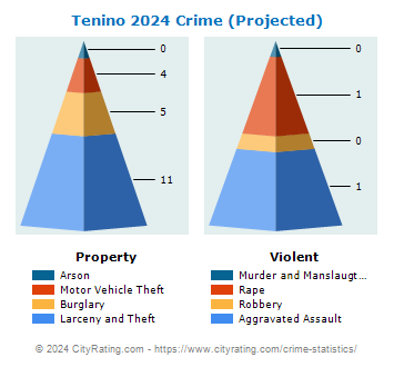 Tenino Crime 2024