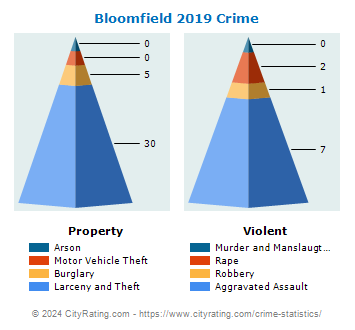 Bloomfield Crime 2019